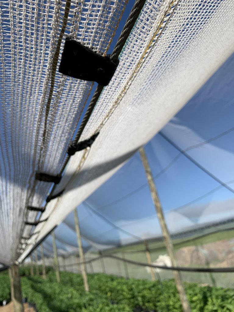 Black Small Shade Cloth Clip