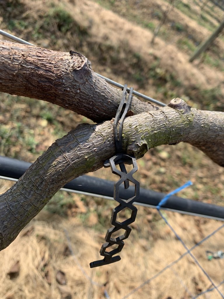 Stretched Multi Clip