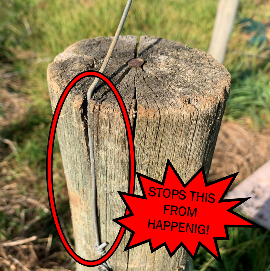 Pole caps to prevent pole damage